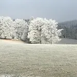 Neuville In Medendorf , Ruhige Lage, Feriehus Büllingen
