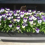 Feriehus Neuville In Medendorf , Ruhige Lage,