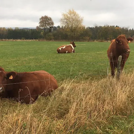 Haus Neuville In Medendorf, Ruhige Lage Bullange