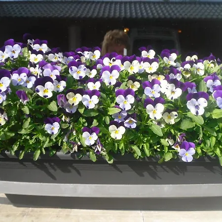 بيت للعطل Neuville In Medendorf , Ruhige Lage,