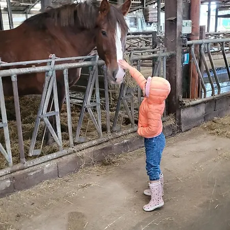 Nyaraló Neuville In Medendorf , Ruhige Lage, *