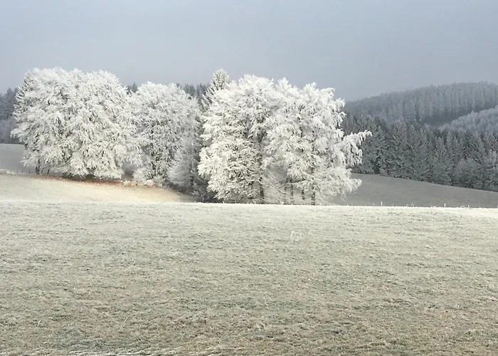 Neuville In Medendorf , Ruhige Lage, Nyaraló Bullange
