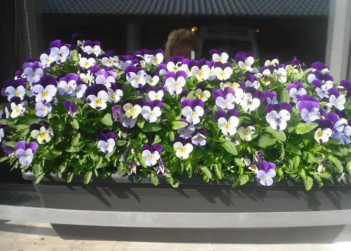 Nyaraló Neuville In Medendorf , Ruhige Lage,