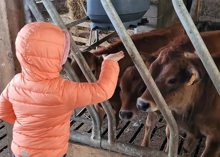 Neuville In Medendorf , Ruhige Lage, *