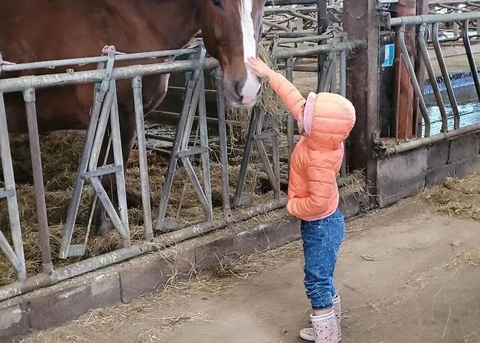 Nyaraló Neuville In Medendorf , Ruhige Lage, *