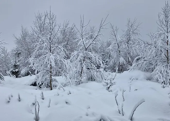 Neuville In Medendorf , Ruhige Lage, Casa de Férias *